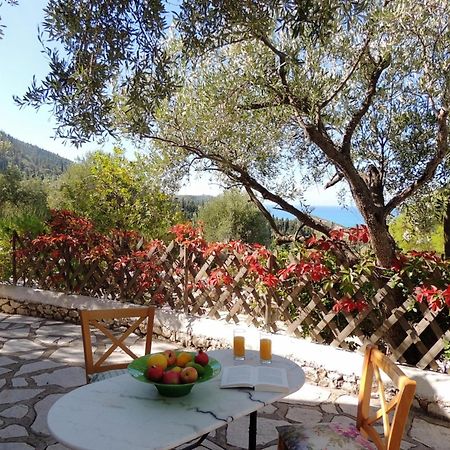 Agios Nikitas Villas Kültér fotó